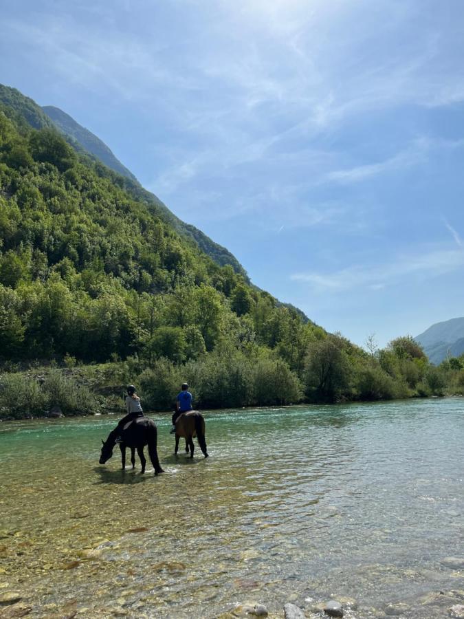 Apartment Baban In Zaga, Slovenia Buitenkant foto